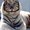 Photo of Eltigre M.