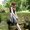 Photo of Lily M.
