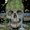Photo of Trev S.