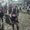 Photo of Trissha P.
