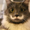 Photo of Anonymous A.