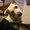 Photo of Lucy F.