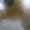 Photo of S M.