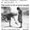 Photo of Hong L.