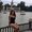 Photo of Yvette O.