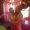 Photo of Kaci C.