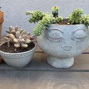 google avatar