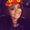 Photo of Jaylen E.
