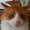 Photo of Nanci J.