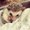 Photo of Nestly Y.