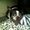 Photo of Desiree S.
