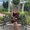 Photo of Brieanna K.