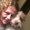 Photo of Angie D.