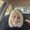 Photo of Paula B.