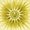 Photo of Robert S.