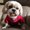 Photo of Lanie S.