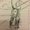 Photo of Lanna Y.
