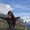 Photo of Faiza K.