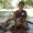 Photo of Hien H.