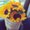 Photo of Donald S.