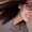 Photo of Kait S.