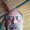 Photo of Bill C.