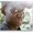 Photo of Serigne S.