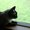 Photo of Toady J.