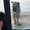 Photo of Find M.