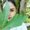 Photo of Anna E.