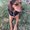 Photo of Rachel D.