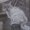 Photo of Nicole L.