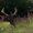 Photo of Jay C.