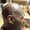 Photo of Rayvaughn D.