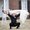 Photo of Austin H.