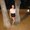 Photo of Alivia F.