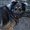 Photo of Qype User (lairdp…)