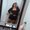 Photo of Alejandra A.