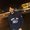 Photo of Naveen R.