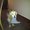Photo of Qype User (stugol…)