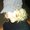 Photo of Amanda B.