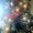 Photo of Shanay L.