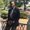 Photo of Jason C.