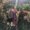 Photo of Carly R.