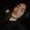 Photo of Adriana M.