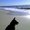 Photo of Kym M.