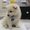 Photo of Kristen G.