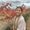 Photo of Kristine L.