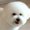 Photo of Shanshan L.