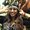 Photo of Suja N.